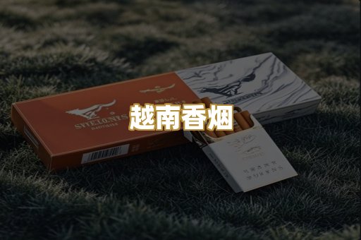 免税外烟